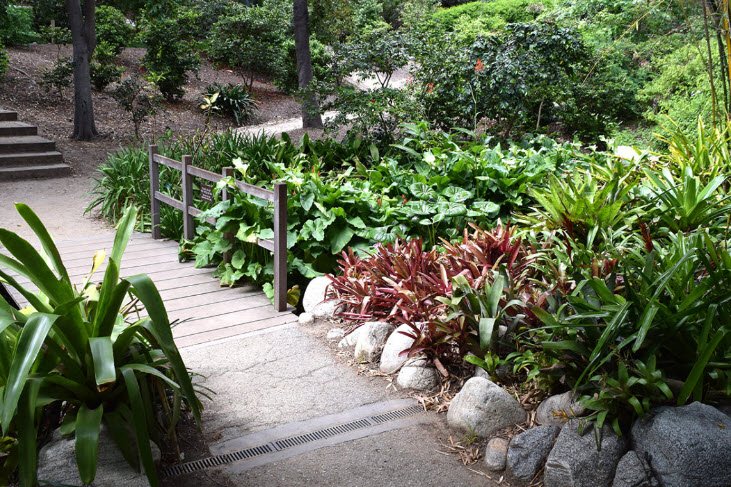 Mathias Botanical Garden, United States